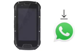 Comment installer WhatsApp dans un Torex M2