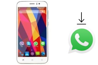 Comment installer WhatsApp dans un Touchkon M509