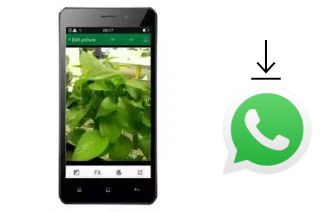 Comment installer WhatsApp dans un True Smart 4G HD Voice