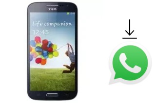 Comment installer WhatsApp dans un TSM T968