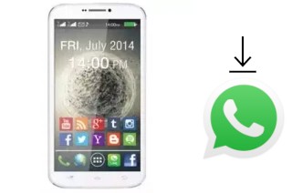 Comment installer WhatsApp dans un TWZ Circle 9