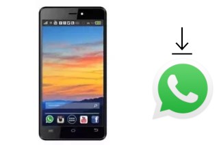 Comment installer WhatsApp dans un TWZ Y53