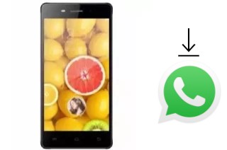 Comment installer WhatsApp dans un TWZ Y55