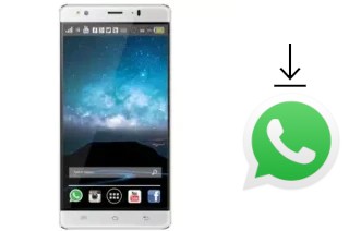 Comment installer WhatsApp dans un TWZ Y60