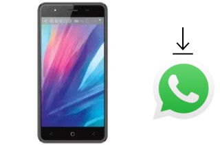 Comment installer WhatsApp dans un TWZ Y68