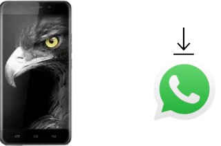 Comment installer WhatsApp dans un Ulefone Metal