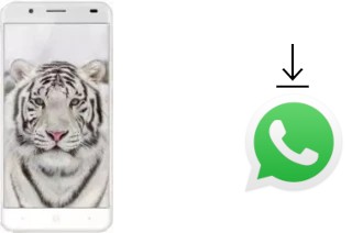 Comment installer WhatsApp dans un Ulefone Tiger