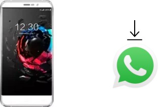 Comment installer WhatsApp dans un UMi Hammer S