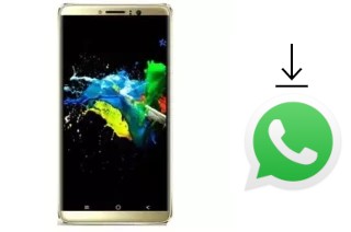 Comment installer WhatsApp dans un VC Cactus Pro