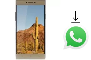 Comment installer WhatsApp dans un VC Cactus