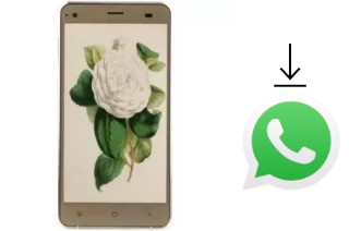 Comment installer WhatsApp dans un VC Camellia