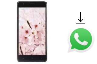 Comment installer WhatsApp dans un VC Cherry