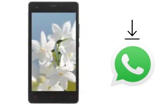 Comment installer WhatsApp dans un VC Jasmine