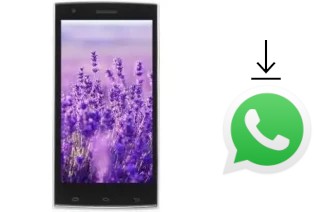 Comment installer WhatsApp dans un VC Lavender II