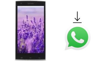 Comment installer WhatsApp dans un VC Lavender