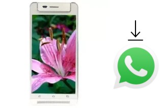 Comment installer WhatsApp dans un VC Lily