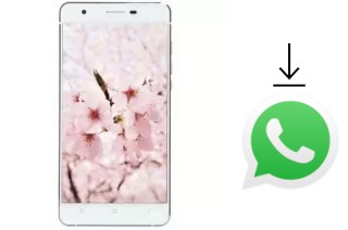 Comment installer WhatsApp dans un VC Maple II