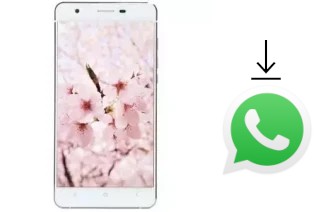 Comment installer WhatsApp dans un VC Maple