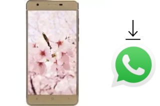 Comment installer WhatsApp dans un VC Sakura II