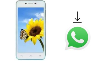 Comment installer WhatsApp dans un VC Sunflower