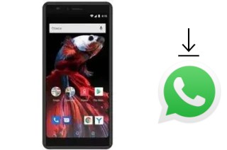 Comment installer WhatsApp dans un Vertex Impress Aero