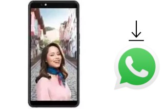 Comment installer WhatsApp dans un Vestel Venus Z20