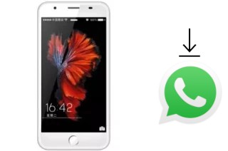 Comment installer WhatsApp dans un VG V666 3G