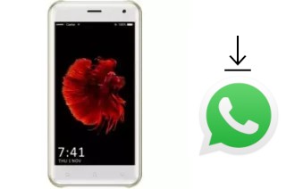 Comment installer WhatsApp dans un VGO-Tel VGO Tel Ocean 6