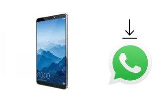 Comment installer WhatsApp dans un VINOVO K10