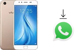 Comment installer WhatsApp dans un vivo V5 Plus