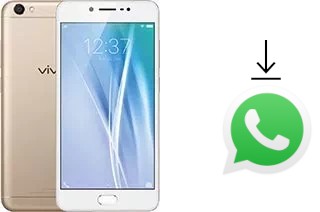 Comment installer WhatsApp dans un vivo V5s