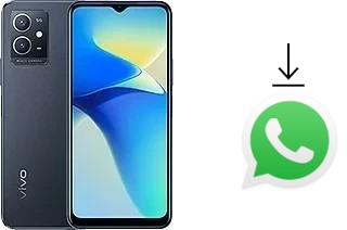 Comment installer WhatsApp dans un vivo Y33e