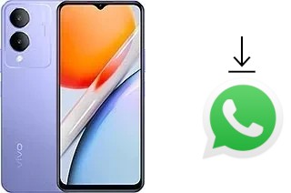 Comment installer WhatsApp dans un vivo Y36i