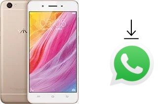 Comment installer WhatsApp dans un vivo Y55s