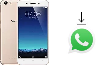 Comment installer WhatsApp dans un vivo Y65