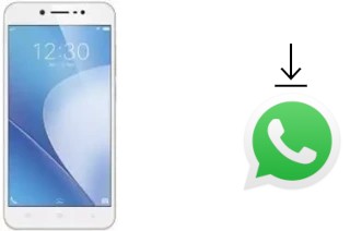 Comment installer WhatsApp dans un Vivo Y66