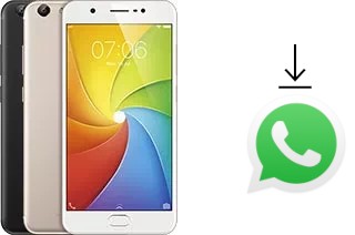 Comment installer WhatsApp dans un vivo Y69