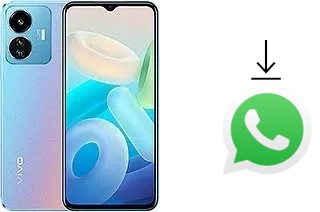 Comment installer WhatsApp dans un vivo Y77