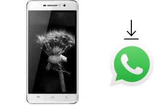 Comment installer WhatsApp dans un Viwa Power P1