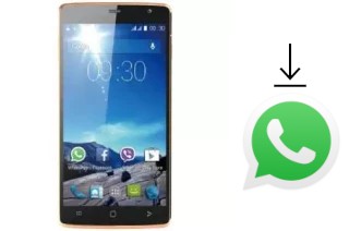 Comment installer WhatsApp dans un Viwa X55