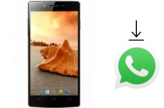 Comment installer WhatsApp dans un Wammy Passion Z Plus