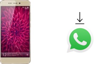 Comment installer WhatsApp dans un Weimei Force 2