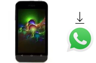 Comment installer WhatsApp dans un Wham WS43