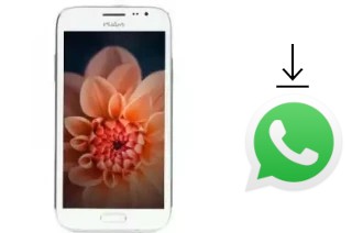 Comment installer WhatsApp dans un Wham WS53