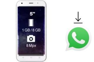 Comment installer WhatsApp dans un Wieppo S5