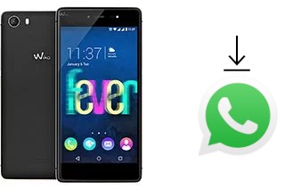 Comment installer WhatsApp dans un Wiko Fever 4G