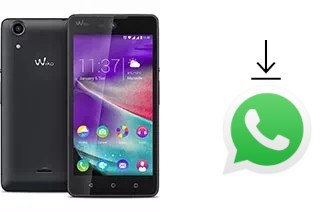 Comment installer WhatsApp dans un Wiko Rainbow Lite 4G