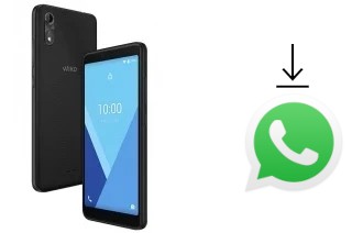 Comment installer WhatsApp dans un Wiko y51