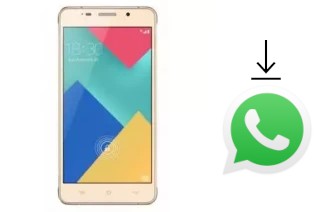 Comment installer WhatsApp dans un Winds Grace V Plus