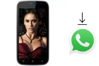 Comment installer WhatsApp dans un Wing M50